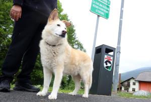 KOŠ ZA PASJE IZTREBKE V GRAHOVEM 07 FOTO LJUBO VUKELIČ